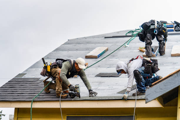 Professional Roofing technician working in Galveston, IN
